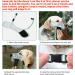 Heele Dog Muzzle - Soft Nylon Printing Muzzle for All Breeds | Breathable Air Mesh Design - International Shipping Available - Buy Online on GoSupps.com