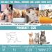Ksuktsw Katzenbody: Post-Op Recovery Suit for Cats | Comfortable Cat Clothing for Castrated Cats - Shop Now! - Buy Online on GoSupps.com