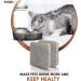 PureLine Petmate Replendish Water Filter Replacement  Also Compatible with Petmate Mason and Petmate Replendish and Mason Gravity Waterer Bowls. with Advanced Filtration (12 Pack) - Buy Online on GoSupps.com
