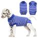 Hjumarayan dog body after op-dog body after castration male breathable op body dog castration bitch with Velcro dog body operation bitch alternative to the ruffle blue and white striped s blue and white striped