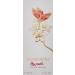 Hanae Mori Eau De Parfum Spray 1.7 Ounce Red/Orange 1.7 Fl Oz (Pack of 1) - Buy Online on GoSupps.com
