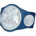 WWE Smackdown Tag Team Championship Commemorative Title Belt - Official Authentic Wear - Buy Online on GoSupps.com