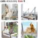 Collapsible Cat Window Perch Hammock Supports 40lbs | Large Bed for Indoor Cats - Buy Online on GoSupps.com