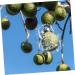 ORFOFE 2pcs Shaped Growth Fruit Buddha Baby Shaper Small Watermelon Accessories - Buy Online on GoSupps.com