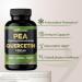 Gade Nutrition Palmitoylethanolamide Pea Supplement 800 mg with Quercetin 200 mg | Micronized Pea 99% Highly Purified and 95% Quercetin Bioavailable | Made in USA | Supplement for Men and Women - Buy Online on GoSupps.com