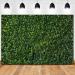 HQM 7x5FT Nature Spring 3D Green Leaves Photo Background for Wedding, Birthday, Baby Shower Photography - Buy Online on GoSupps.com