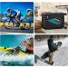 2 Pack Waterproof Airtag Sticker Mount Case for Apple - Adhesive Protector for Bike, Luggage, Car - Hidden AirTag Holder for Remote Control - Buy Online on GoSupps.com
