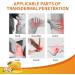 Buy Aeehfeng Bee Venom Therapy Gel | New Zealand Pain Relief & Joint Care | 2-Pack - Buy Online on GoSupps.com
