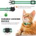 Shop Reflective Airtag Cat Neck Band | Integrated Collar with Holder & Bell | Safety Buckle for Kittens & Puppies - Green - Buy Online on GoSupps.com