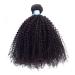18 BLY 7A Mongolian Afro Kinky Curly Human Hair Weave for African American Women - Unprocessed, Natural Black - Buy Online on GoSupps.com