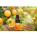MABUA Orange Oil (Citrus Sinensis) 100% Pure Natural Therapeutic Grade 120 mL (4 oz) - Buy Online on GoSupps.com