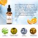 Day-Night Anti Aging Vitamin C Serum Retinol Serum For Face with Retinol & Amino Acids - Boost Skin Collagen,Hydrate & Plump Skin Facial Serum - Buy Online on GoSupps.com
