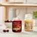Yankee Candle Vanilla Cupcake - Medium Glass Candle | 75 Hour Burn Time | International Shipping - Buy Online on GoSupps.com