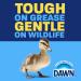 Dawn Ultra EZ-Squeeze Dish Soap - Original Liquid 6x22 Fl Oz Bundle Superior Grease Removal Easy Upside Down Bottle for Effortless Dishwashing - Buy Online on GoSupps.com