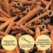 Organic Cinnamon Taste Powder - Delicious Sweetness for Food & Drinks - No Artificial Sweeteners - Versatile Flavor Powder for Healthy Living - 1 Serv. - Buy Online on GoSupps.com