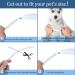 Coolzon LED Light Neck Band Collar - Waterproof 3-Color Adjustable for Cats & Dogs - Super Bright & Multi-Colored - Buy Online on GoSupps.com