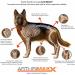 ArthriMAXX 32oz Joint Supplement for Dogs - Natural Anti-Inflammatory with Glucosamine & Chondroitin - Buy Online on GoSupps.com