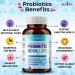 60 Billion CFU Probiotic with Prebiotic Formula - Natural Digestive Enzymes | For Women, Men, & Adults | Shelf Stable Supplement - Buy Online on GoSupps.com