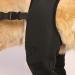 knee brace back leg brace dog leg support pet leg support back leg support dog hip brace hip joint brace brace Large - Buy Online on GoSupps.com