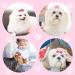 MTLEE 12pc Small Dog Hair Bow Rubber Bands | Cute Pink Pet Hair Bows with Rhinestones | Dog Grooming Accessories for Puppies and Kittens - Buy Online on GoSupps.com