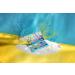 SpongeBob SquarePants Wet n Wild Eyeshadow Palette & Makeup Pigments â€“ Nautical Nonsense 0.82 oz - Buy Online on GoSupps.com