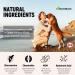 miNATURALS Premium Glucosamine Joint Powder for Dogs Arthritis Pain Relief & Hip Dysplasia Support Reduces Inflammation with Glucosamine Chondroitin MSM and Hyaluronic Acid - Buy Online on GoSupps.com