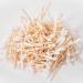 JMU Medical Cotton Swabs with Wooden Sticks - 1000 Count, 3 inch - Buy Online on GoSupps.com