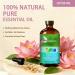 Lotus Essential Oil 16 Fl Oz and Lily Essential Oil 16 Fl Oz - Lotus & Lily Oil for Diffuser Aromatherapy Home Fragrance Skin & Hair Care DIY Candle & Soap Making Yoga - Buy Online on GoSupps.com