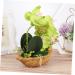TOPBATHY 3pcs Rn Gift Phalaenopsis Home Accents Decor The Gift Home Forniture Decor Artificial Flower Bonsai Decor for Home Office Decor Garden Simulated Plant Double Fork Fake Orchid Greenx3pcs 27*17.5cmx3pcs - Buy Online on GoSupps.com