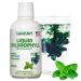 Liquid Chlorophyll Mint Flavored  Cold Extracted from Wild Non-GMO Alfalfa - Detox - Alkaline - Natural Body Deodorant  Antioxidant - 16 fl oz