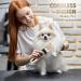 Pet Shaver Dog Clippers Grooming Kit 4 Guiding Combs Professional Dog Trimmer Pet Shaver for cats Low Noise Rechargeable Cordless Pet Shaver for Cats Dogs Horses & Other Hairy Animals - Buy Online on GoSupps.com