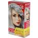  Vip's Prestige Cr me resistante pour cheveux 210 Argent platinum "Vip's Prestige" l'huile d'argan macadamia et chia/Cream hair dye Silver-platinum (2 pcs) - Buy Online on GoSupps.com