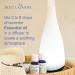 Buy Bleu Lavande Premium True Lavender Essential Oil - 100% Pure Therapeutic Grade Vegan & Cruelty-Free - Aromatherapy 0.5 fl oz - International Shipping Available - Buy Online on GoSupps.com