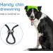 Pawaboo Adjustable Baseball Cap for Dogs - Sun Protection Hat with Ear Holes - Bright Green Large Pet Accessory - Buy Online on GoSupps.com