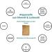 GOLDECO Original Aleppo Soap 75% Olive Oil and 25% Laurel Oil Traditional Handmade Vegan 200 g - Buy Online on GoSupps.com