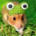 Xuniea Mini Hand Knitted Hat - Pet Costume Accessories for Small Animals - Buy Online on GoSupps.com