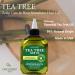 Hair Chemist Tea Tree Hair Oil 7.1 oz - Nourishing Hair Treatment - Buy Online on GoSupps.com