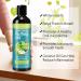 Coconut Pulling Oil with Mint 237ml - Natural Alcohol-Free Mouthwash for Teeth Whitening Fresh Breath & Healthy Gums | Includes Tongue Scraper - Buy Online on GoSupps.com
