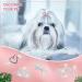 Buy Cobee Bling Dog Crown Hair Accessories | 4-Piece Rhinestone Dog & Cat Hair Clips - International Shipping Available - Buy Online on GoSupps.com