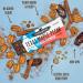 Thunderbird Real Food Energy Bar - Plant Based Paleo Snack with Homemade Taste - Low Glycemic Fruit Nutrition Nut Bar - Buy Online on GoSupps.com