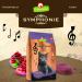Granapet Symphony No.1 Tuna Dry Cat Food - Grain & Sugar-Free Tasty Fish Treats 300g Pack - International Shipping - Buy Online on GoSupps.com