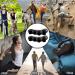 3 Pairs Black Gel Toe Separators - Toe Stretchers, Spacers & Straighteners for Overlapping Toes, Bunions & Relaxation - Ideal for Running, Yoga, Manicure & Pedicure - Buy Online on GoSupps.com