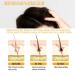 Shampoo Bars for Grey Hair - Mane Gray Reverse Bar Soap (2pcs) for Men & Women - Buy Online on GoSupps.com