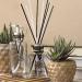 Nivaobi 100 Rattan Sticks for Room Fragrance | 20cm Aroma Diffuser Sticks | Ideal for Home Office Hotel & Bathroom - Buy Online on GoSupps.com