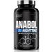 Anabol PM Nighttime Muscle Builder & Sleep Aid | Anabolic Muscle Building Supplement | Clinically Researched RIPFACTOR, Epicatechin & More | Post Workout Muscle Recovery & Strength  60 Pills