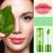 WENJLYJ 8 PCS Aloe Vera Lipstick Set | Color Changing Magic Temperature | Long-lasting & Nutritious Lip Gloss Kit for Women - Buy Online on GoSupps.com