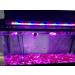 SENZEAL Aquarium Live Red Worm Fish Feeder - Plastic Cone Cup Shape Basket Feeder - Buy Online on GoSupps.com