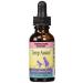 Herbs for Kids Temp Assure, Liquid, Unflavored (Btl-Glass) 1oz