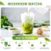 Mushroom Matcha Powder | Blend with 6 Mushrooms MCT Oil & Coconut Milk | 6.35 Oz (180g)(30 Servings) - Buy Online on GoSupps.com