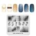 Nail Stamping Plate Fashion Geometry Dots Abstract Spots Points Theme Multi-Pattern Stamp Print Image Stamp Template Nail Art for Nail Design 1#